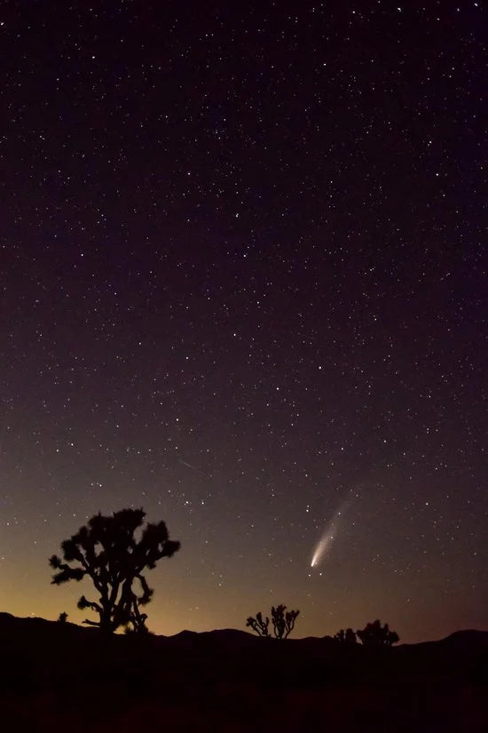 K&F Concept Nano-X Series Natural Night Filter (77mm)