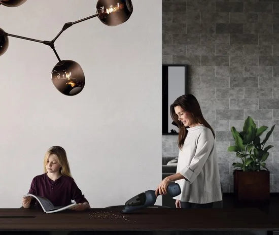 AEG QX9-1-P5IB - Parket steelstofzuiger