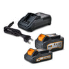 Batterij 20V 2&4AH