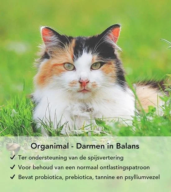 Darmen In Balans - Katten - 90 x 250mg