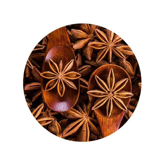 Star Anise Whole - Bulk 10 kg - Vietnam