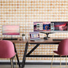 EliteDisplay E243 Monitor