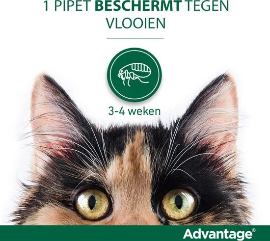 Bayer Anti vlooienmiddel Advantage 80 > 4 kg - 4 x 0,8 ml