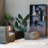WOOOD Strelitzia Kunstplant - Groen - 96x164x63