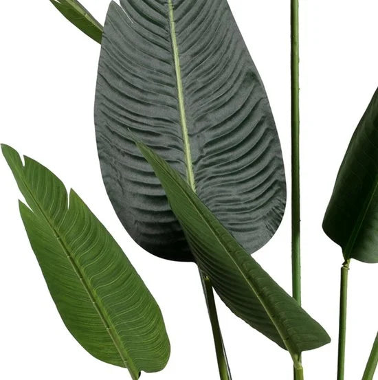 WOOOD Strelitzia Kunstplant - Groen - 96x164x63