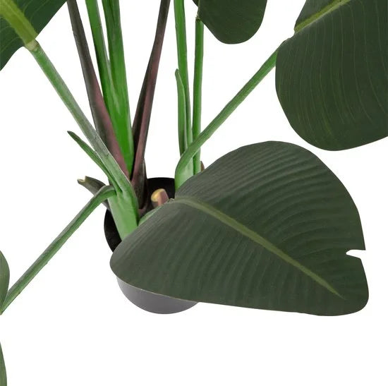 WOOOD Strelitzia Kunstplant - Groen - 96x164x63