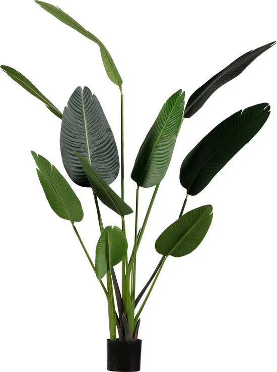 WOOOD Strelitzia Kunstplant - Groen - 96x164x63