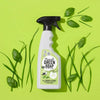 Allesreiniger Spray - Basilicum & Vetiver gras