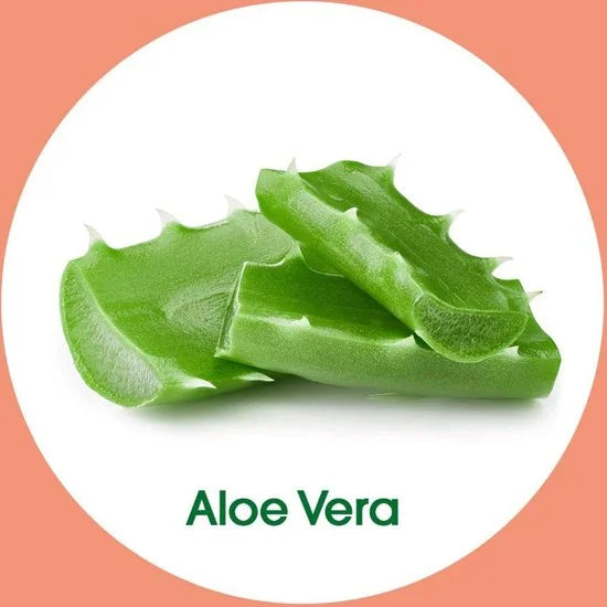Dettol No Touch Refill Hydrating Aloe Vera 250ML