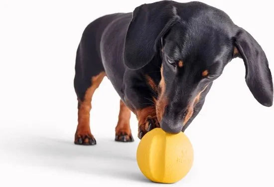 Fetch Ball - Stuiterende Hondenbal - Ideaal voor apporteren - Past in werpstok - Beco Pets - Oranje of Geel - Geel
