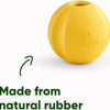 Beco Pets Fetch Ball - Stuiterende Hondenbal - Ideaal voor apporteren - Past in werpstok - Oranje