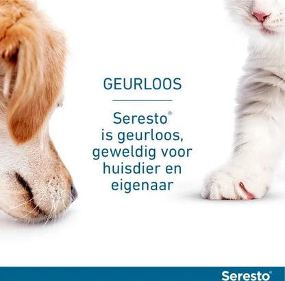 Seresto Teken- En Vlooienband Large - Anti tekenmiddel - per stuk > 8 Kg