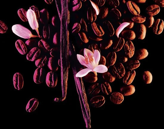 Yves Saint Laurent Opium Black 90 ml Eau de Parfum - Damesparfum