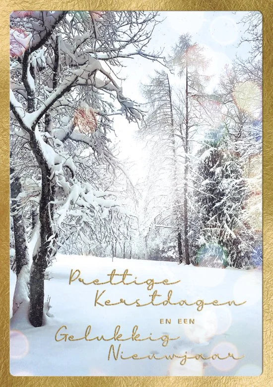 Kaarten - Kerst - Hangpak - Sneeuw in bos - 10st. - HPK.1033
