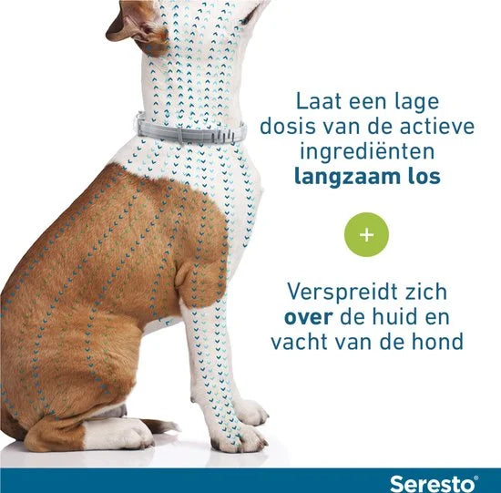 Seresto Teken- En Vlooienband Small - Anti tekenmiddel - per stuk < 8 Kg
