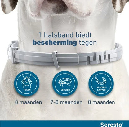 Seresto Teken- En Vlooienband Small - Anti tekenmiddel - per stuk < 8 Kg