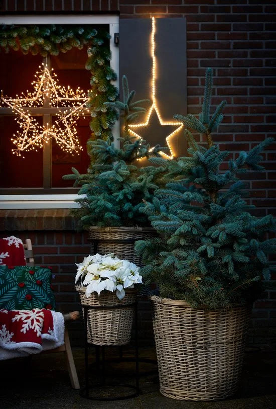 Triumph Tree Colorado Guirlande - L180 cm - Frosted Green
