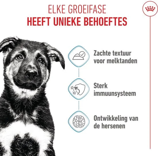 Royal Canin Maxi Natvoer - 10x140 g - Puppy-Hondenvoer